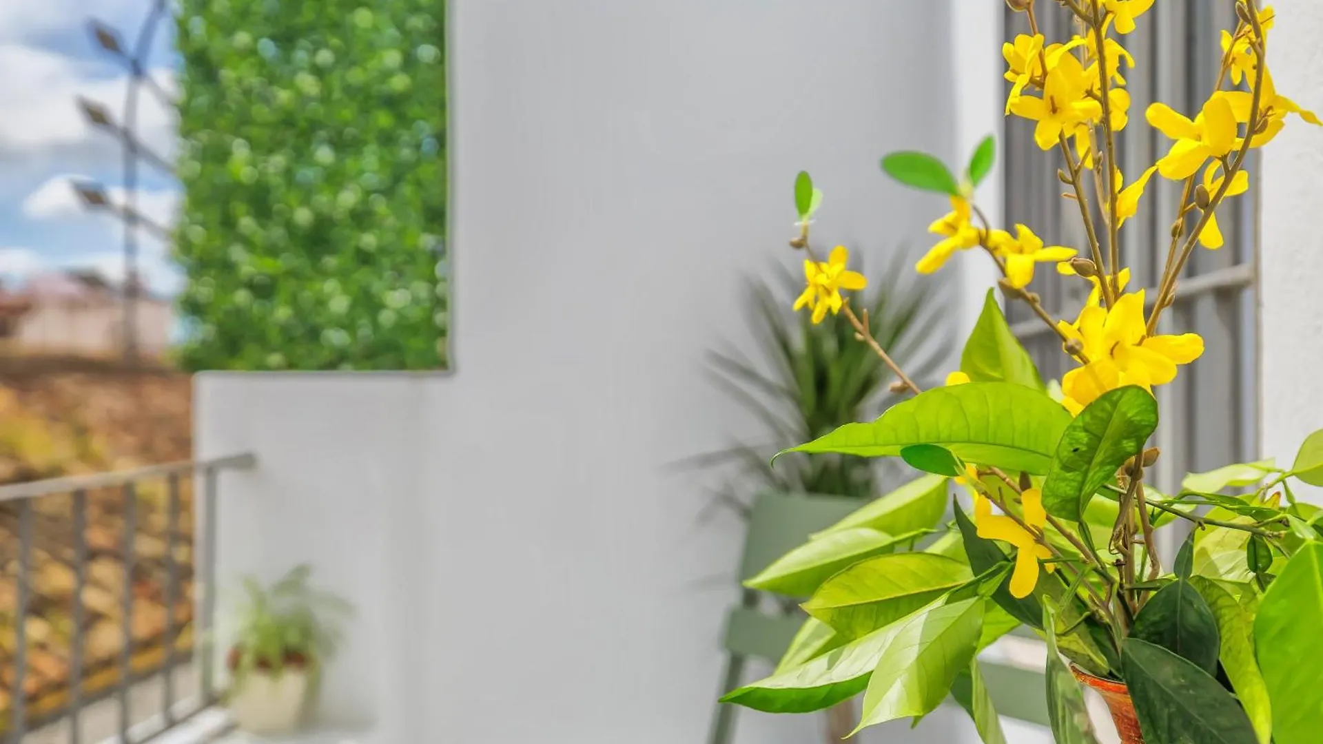 公寓 Apto Tendillas Centro Terraza - Oliva Suite 科爾多瓦